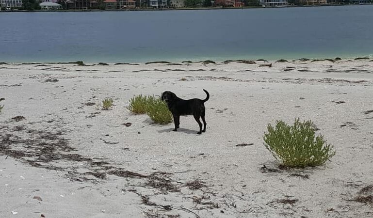Photo Gallery, Island&#039;s End Resort