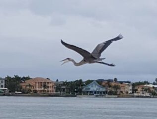 Amenities, Island&#039;s End Resort