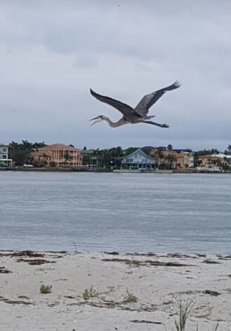 Photo Gallery, Island&#039;s End Resort