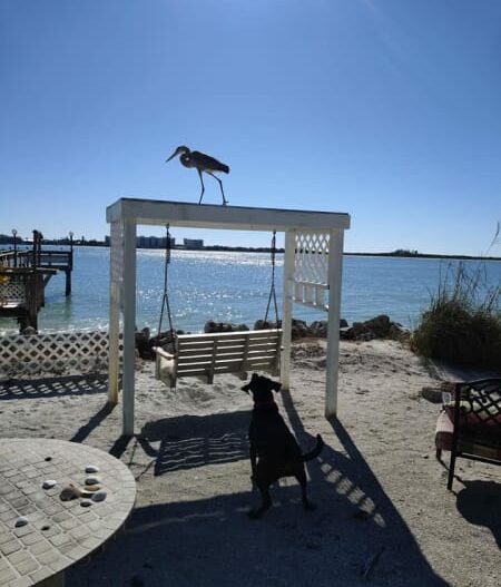 Photo Gallery, Island&#039;s End Resort