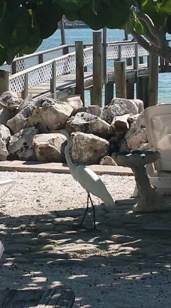 Photo Gallery, Island&#039;s End Resort