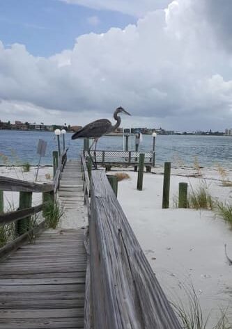 Photo Gallery, Island&#039;s End Resort